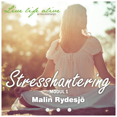 Omslag till Stresshantering Modul 1