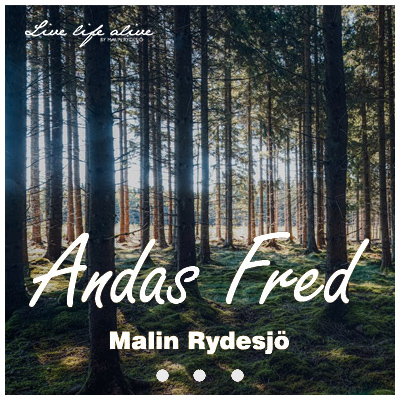 Omslag till meditationen Andas Fred